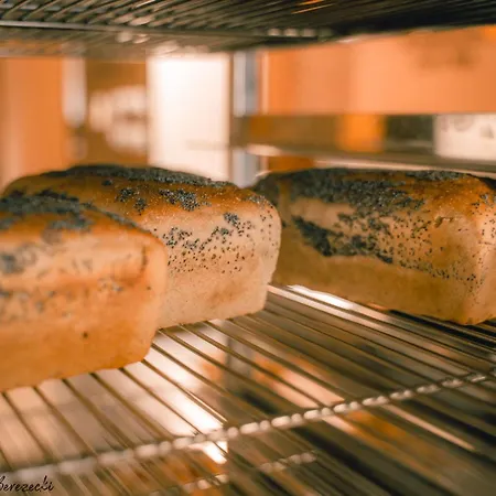 Avatary Miasta Hotel